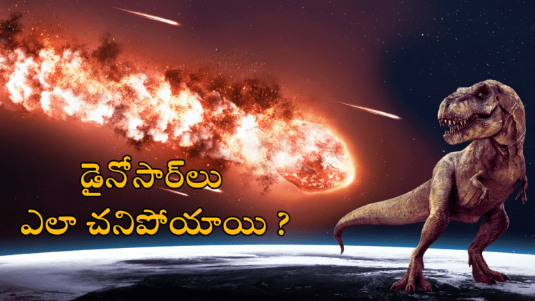 How the Dinosaurs Died