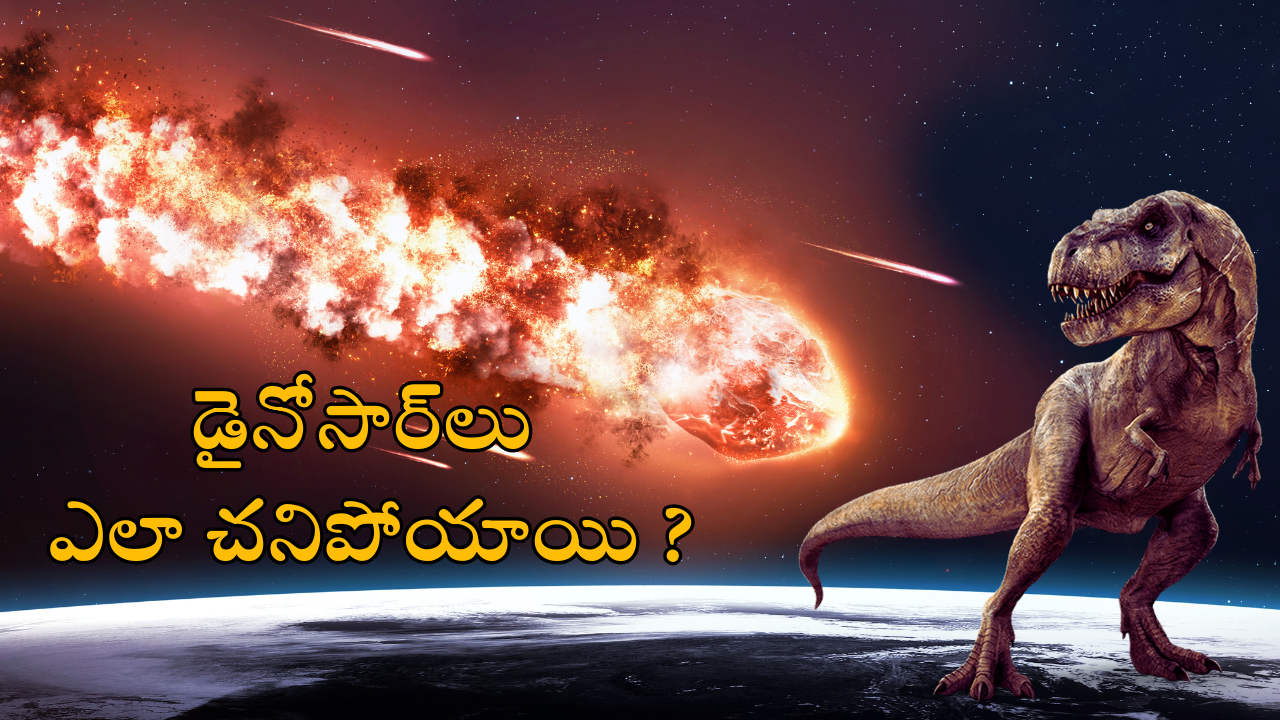 How The Dinosaurs Died