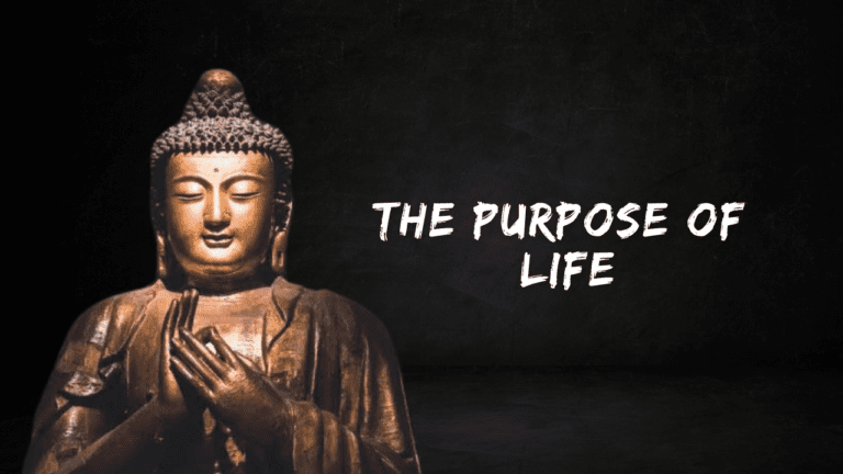 the purpose of life